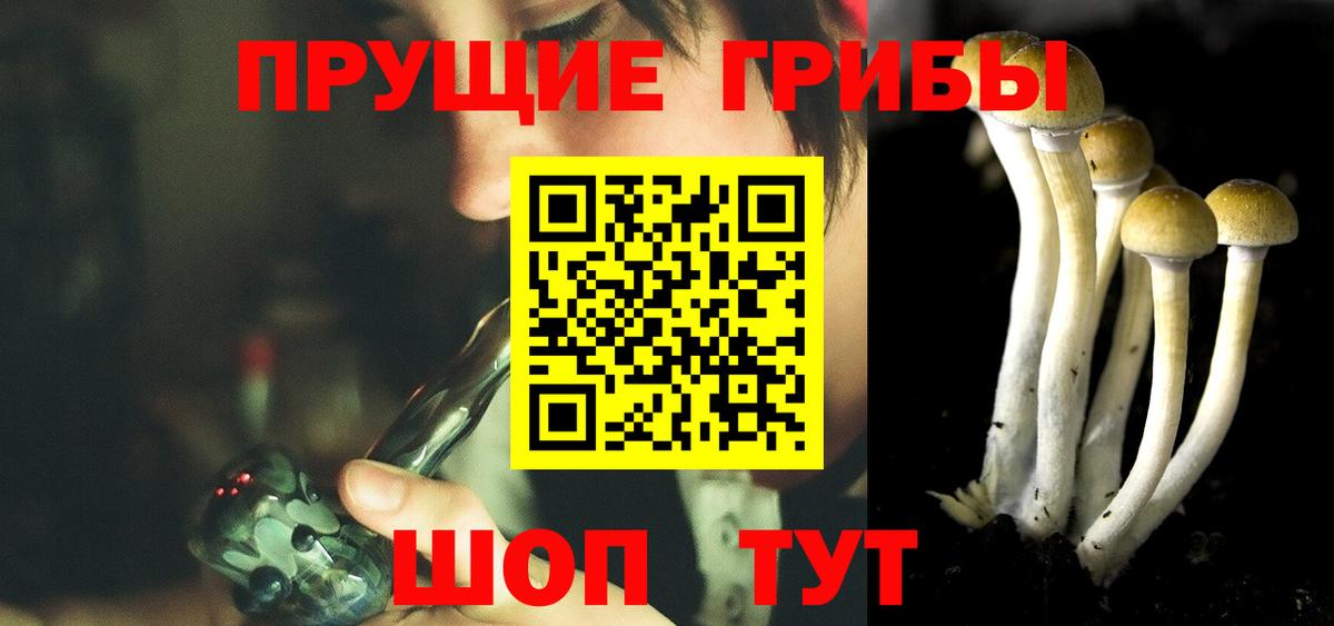Псилоцибиновые грибы Cubensis Улан-Удэ