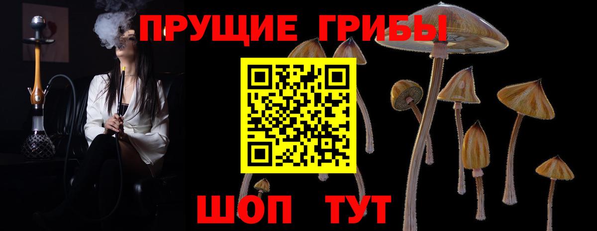 Улан-Удэ  Псилоцибиновые грибы MAGIC MUSHROOMS  Вход с VPN 
