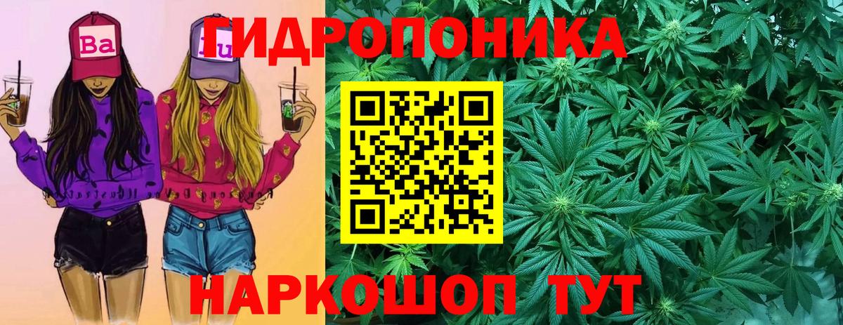 Бошки марихуана Bruce Banner Улан-Удэ